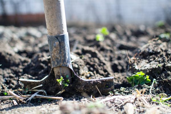 Matters of Soil Fertility, What You Need To Know