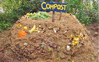 Composting and Its Benefits