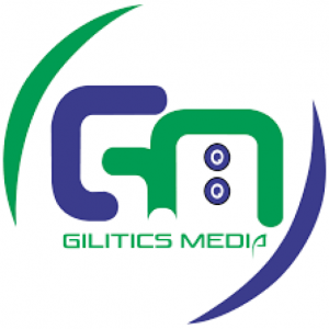 Gilitics Media Logo