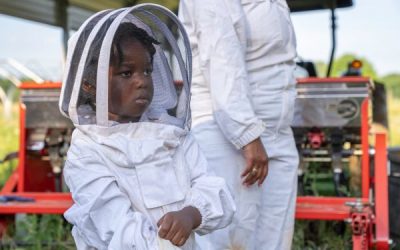 Money honey; How to start beekeeping business