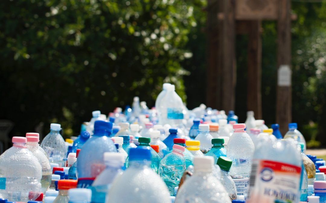 Plastic Sustainability: A Dubious Concept